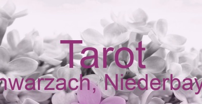 Tarot Schwarzach, Niederbayern | Top-Experten für Kartenlegen, Wahrsagen, Hellsehen, Zukunftsdeutung.